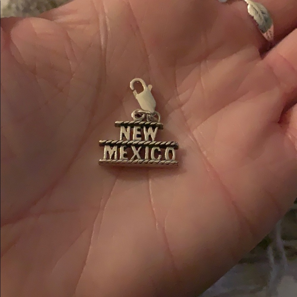 New Mexico Zuni charm